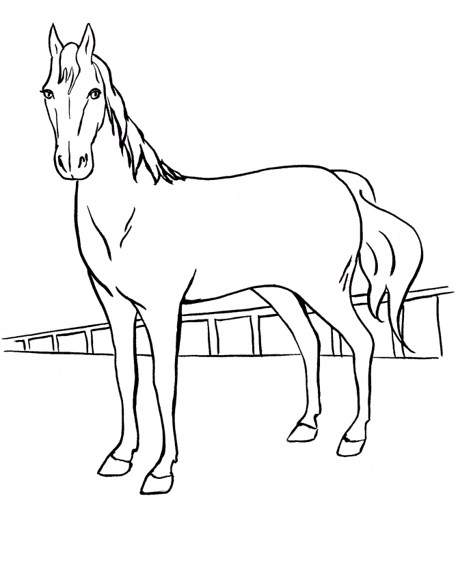 Cavalo para imprimir e colorir