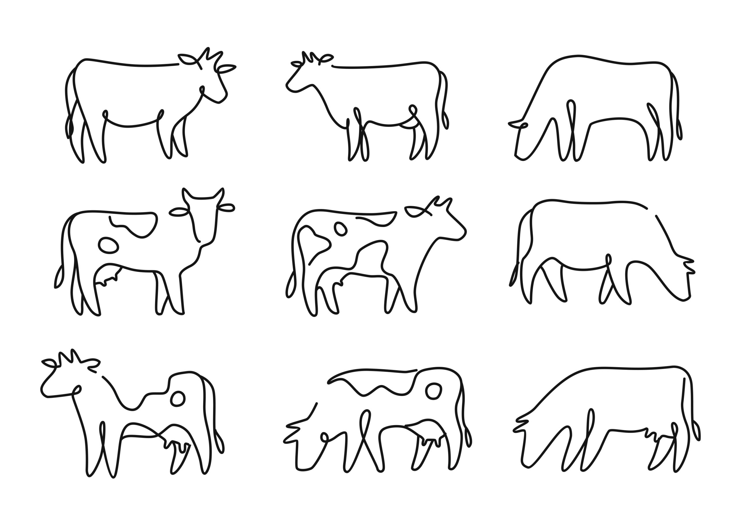Vacas no pasto