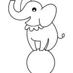 Elefante equilibrista