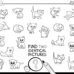 Encontre os pares de gatos iguais