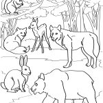 Lobo para colorir com animais