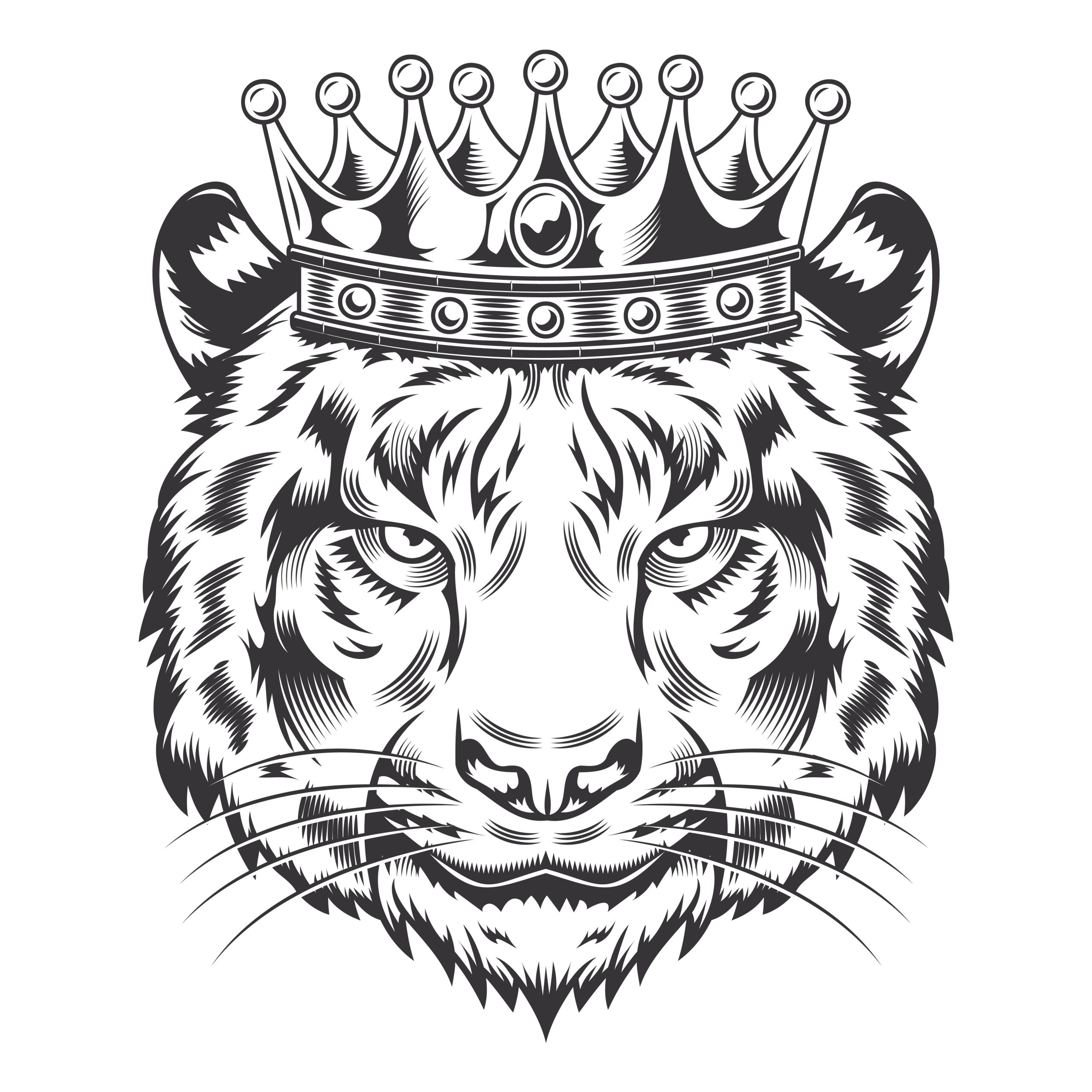 Rei Tigre