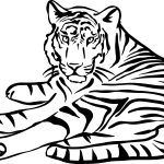 Tigre-deitado-para-pintar