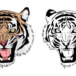 Tigre feroz para colorir