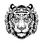 Tigre grande para colorir