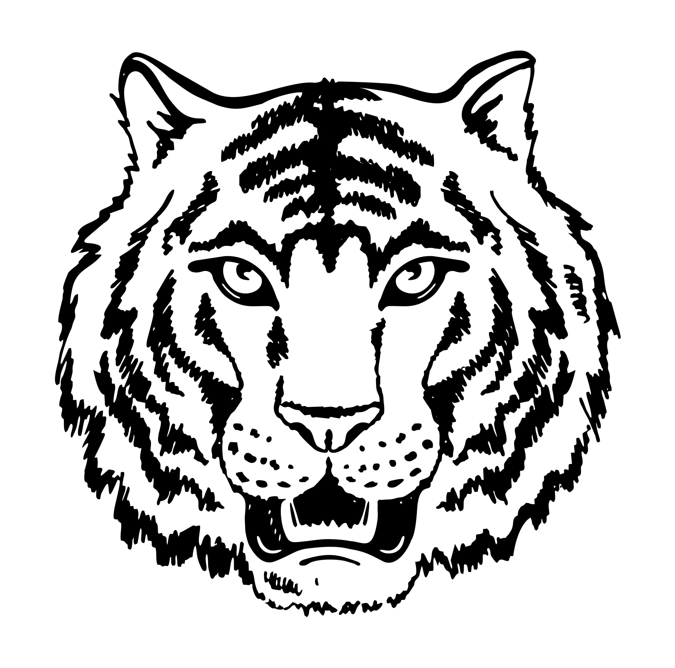 Tigre-para-imprimir-e-colorir