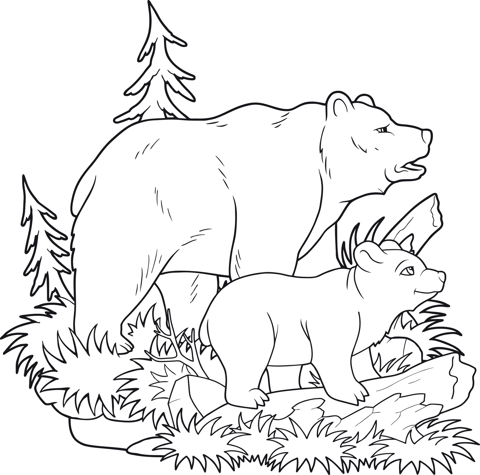 Urso com filhote para colorir