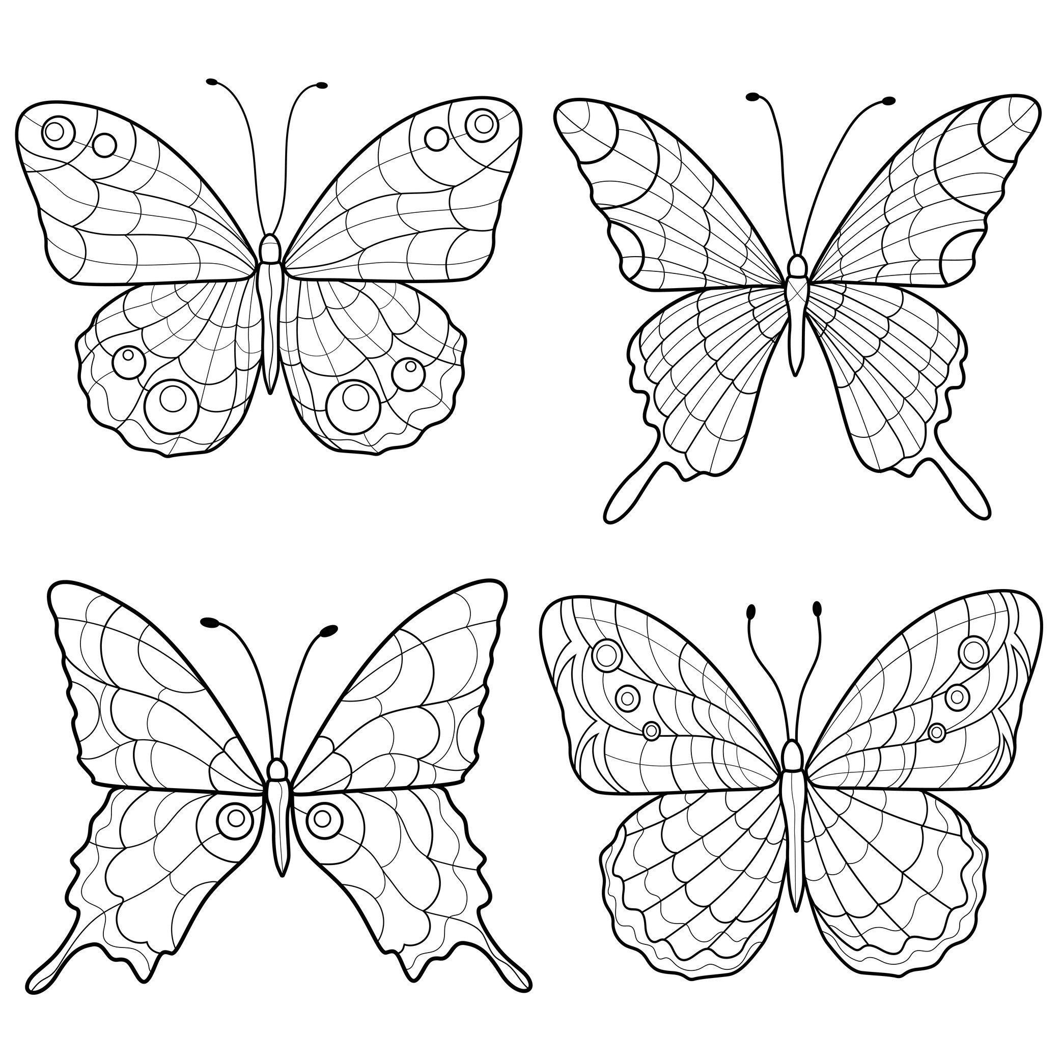Desenhos de borboletas para colorir e pintar