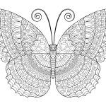 Imagem de borboleta para colorir